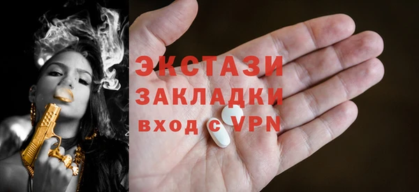 гидра Гусиноозёрск