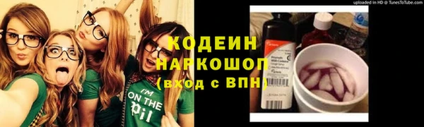 прущий лед Гусев