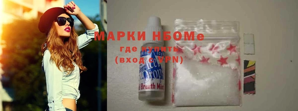 гидра Гусиноозёрск