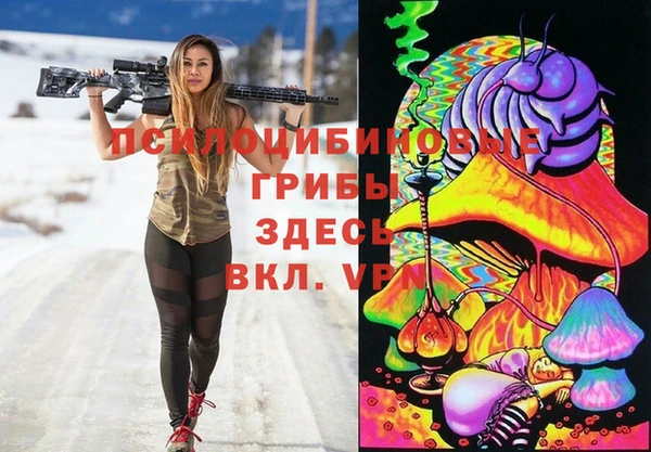 прущий лед Гусев