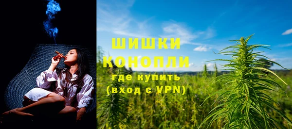 гидра Гусиноозёрск